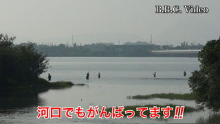fc01